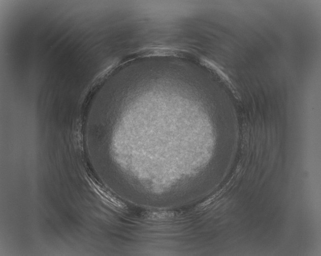 X0000076031403200610061406