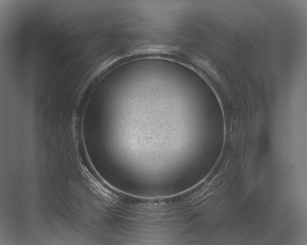 X0000076031404200610061406