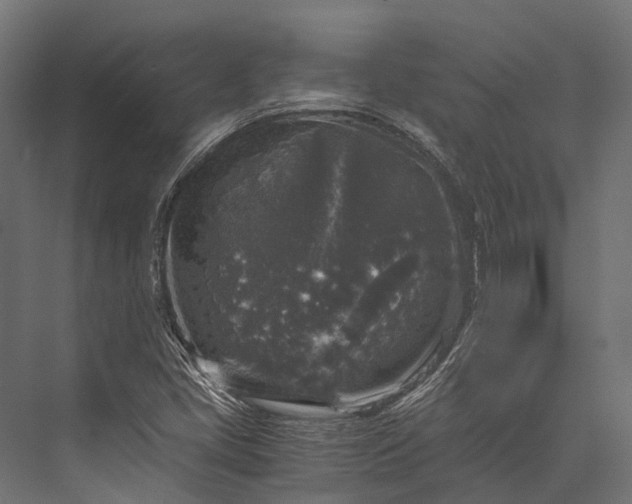 X0000076031405200610061406