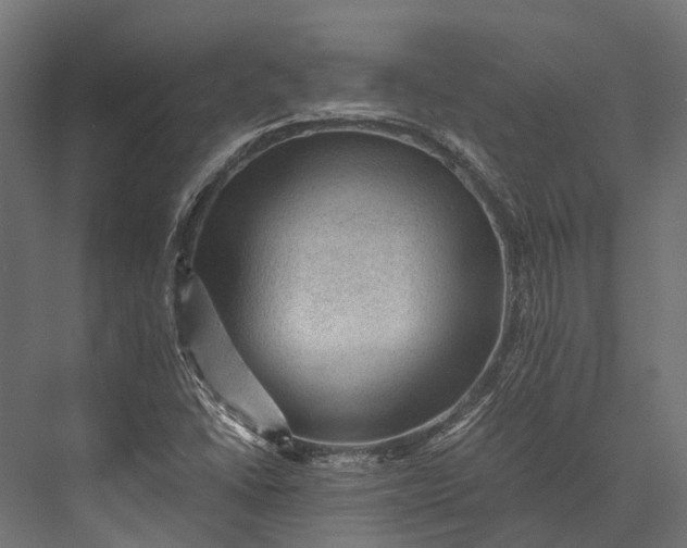 X0000076031406200610061406