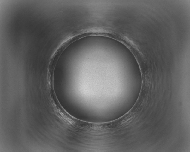 X0000076031408200610061406