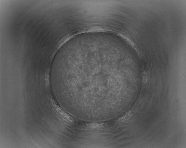 X0000076031409200610061406