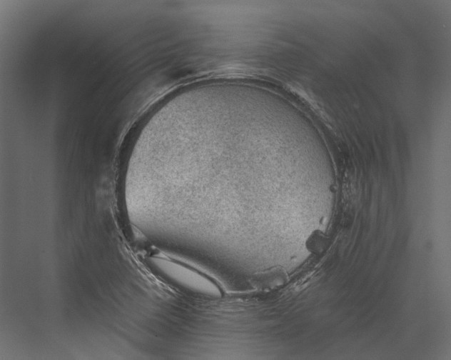 X0000076031410200610061406