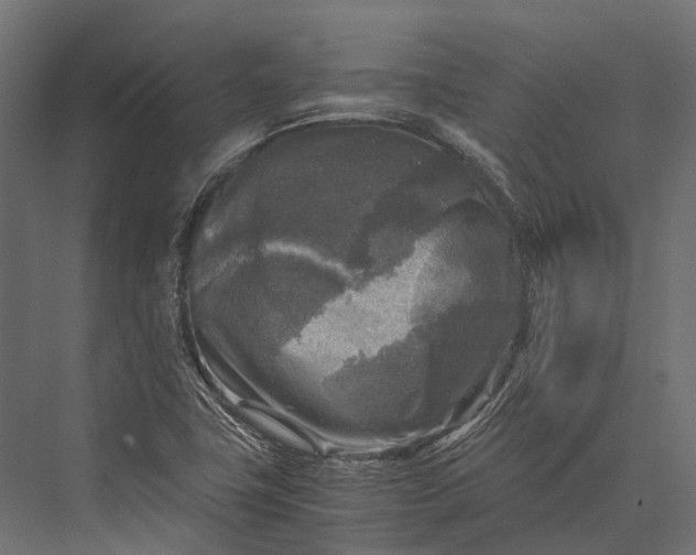 X0000076031411200610061406