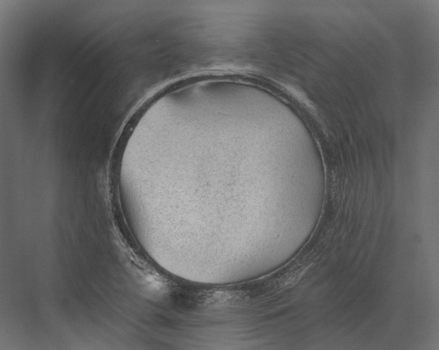 X0000076031412200610061406