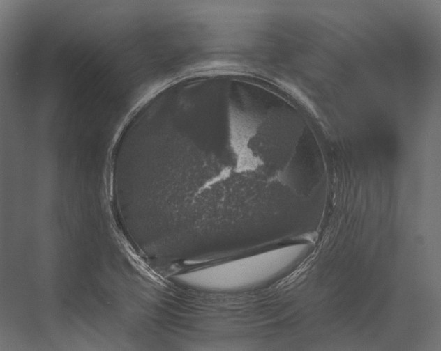 X0000076031413200610061406