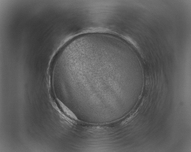 X0000076031414200610061406