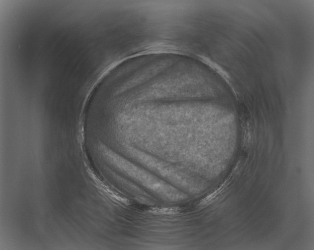 X0000076031415200610061406