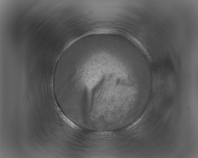 X0000076031417200610061406