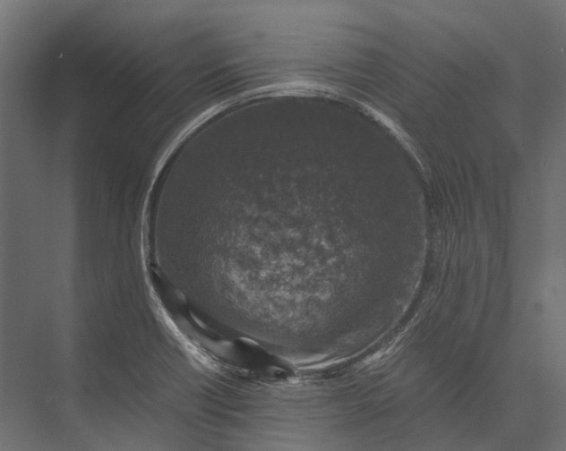 X0000076031418200610061406