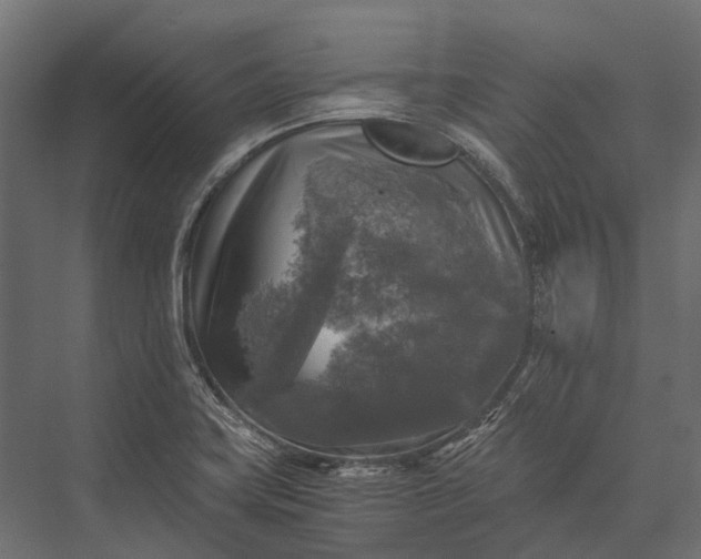 X0000076031419200610061406