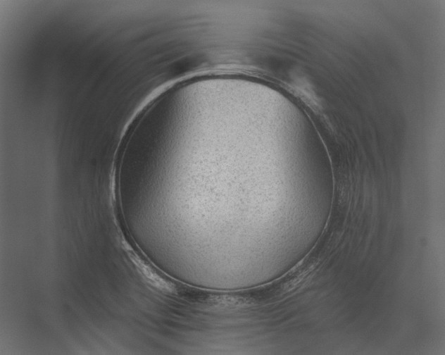 X0000076031420200610061406