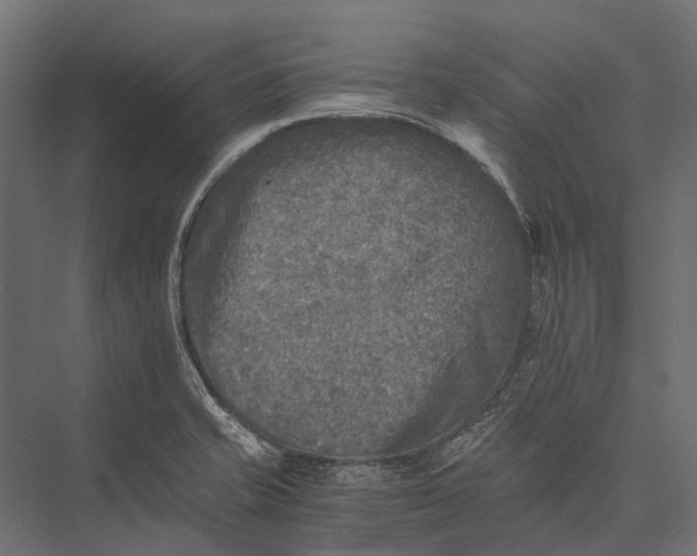 X0000076031421200610061406