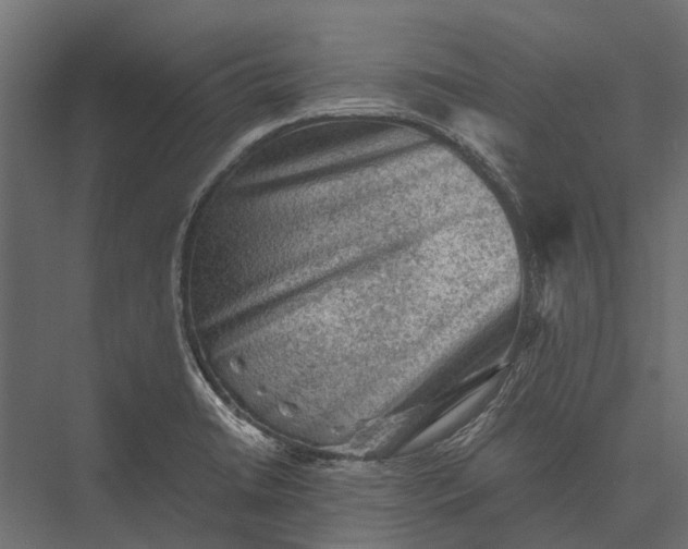 X0000076031422200610061406