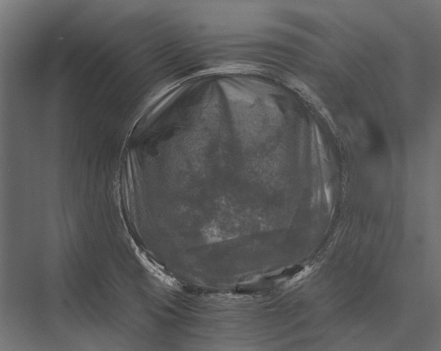 X0000076031425200610061406