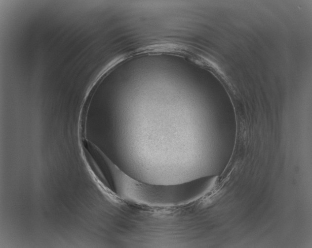 X0000076031426200610061406