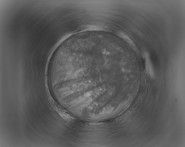 X0000076031427200610061406