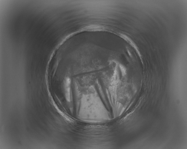 X0000076031429200610061406