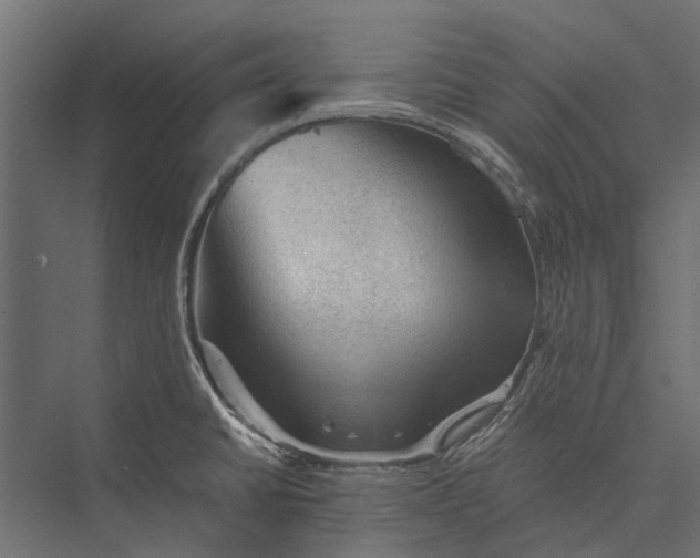 X0000076031430200610061406