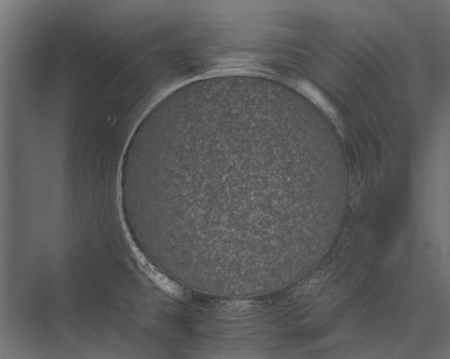 X0000076031431200610061406