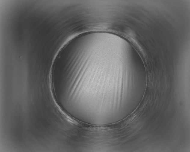 X0000076031432200610061406