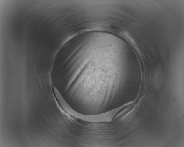 X0000076031433200610061406