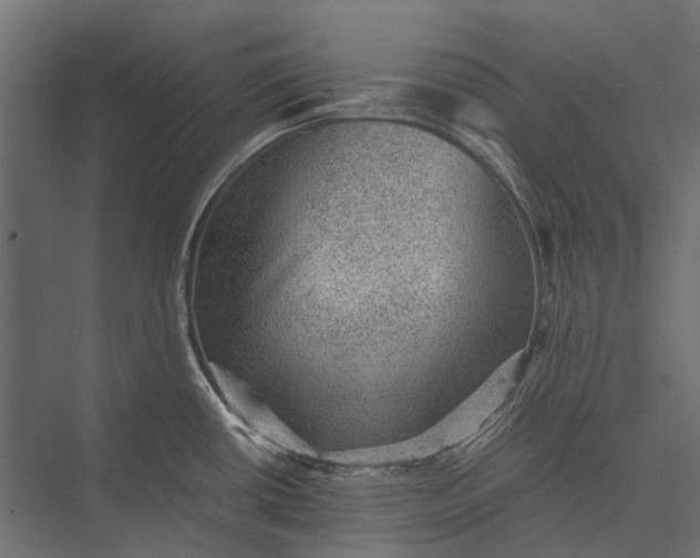 X0000076031434200610061406