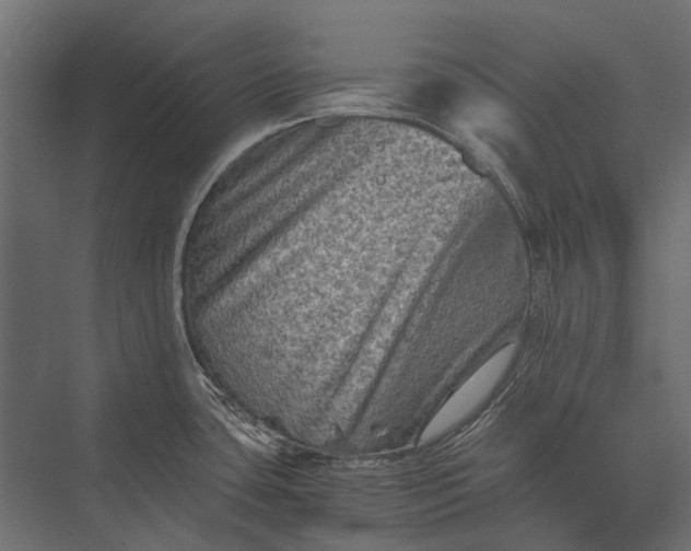 X0000076031435200610061406