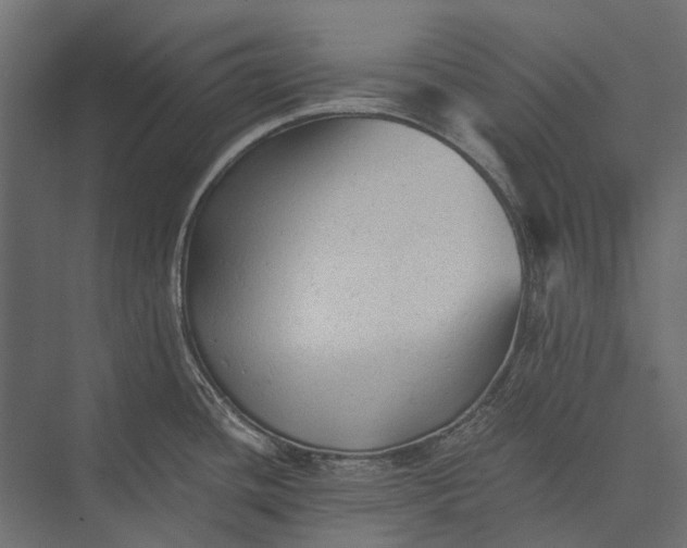 X0000076031436200610061406