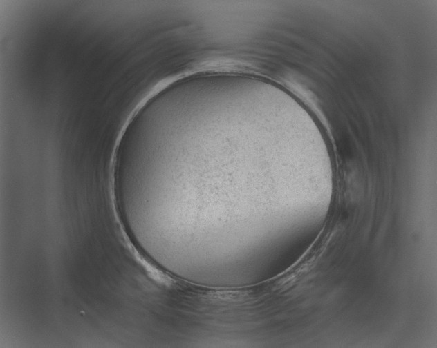 X0000076031437200610061406