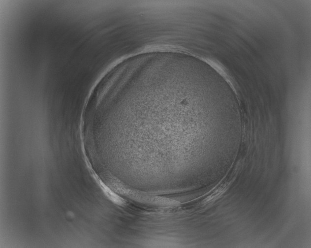 X0000076031438200610061406