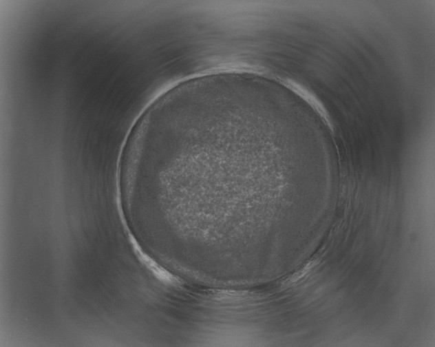 X0000076031439200610061406