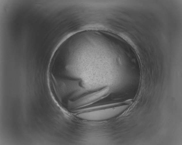 X0000076031440200610061406