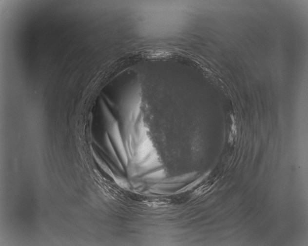 X0000076031441200610061406