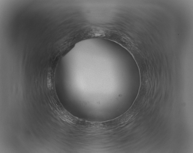 X0000076031442200610061406