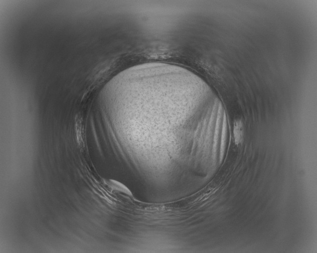 X0000076031444200610061406