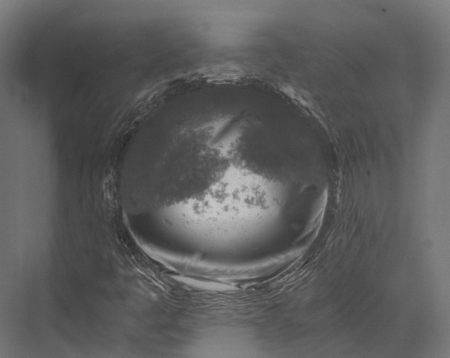 X0000076031445200610061406