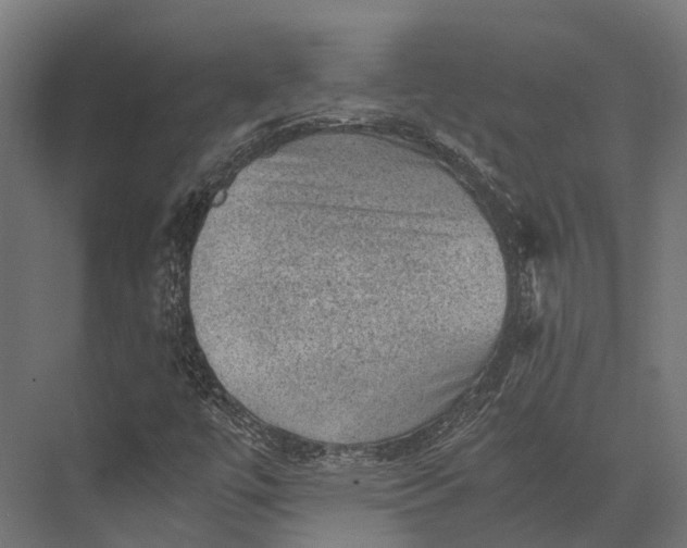 X0000076031447200610061406