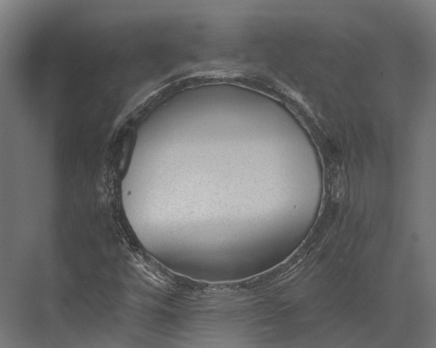 X0000076031448200610061406