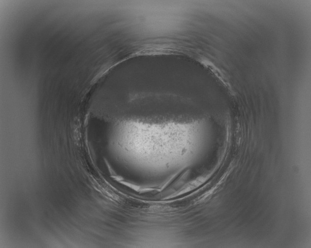 X0000076031449200610061406