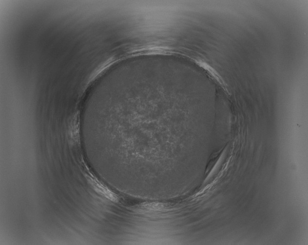 X0000076031450200610061406