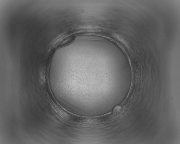 X0000076031451200610061405