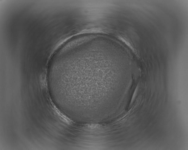 X0000076031452200610061405