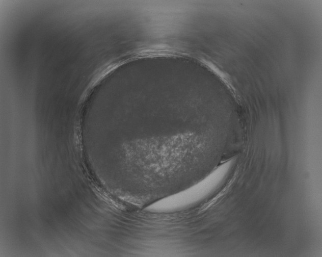 X0000076031453200610061405