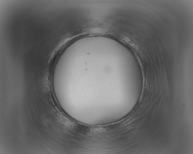 X0000076031454200610061405