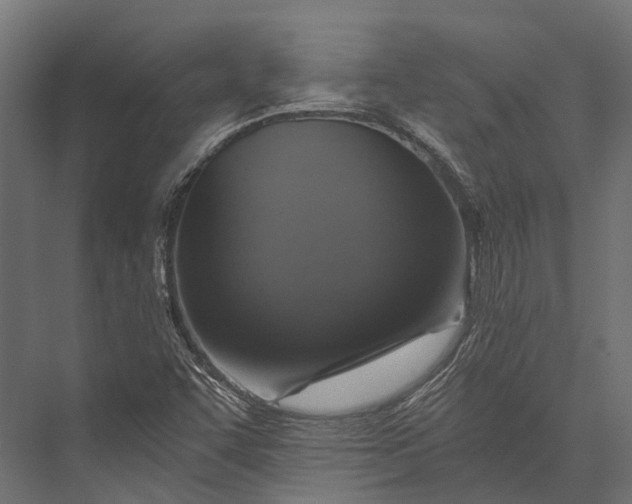 X0000076031455200610061405