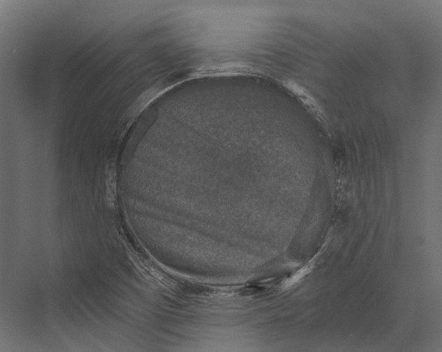 X0000076031457200610061405