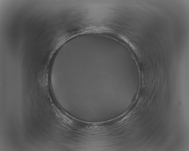 X0000076031459200610061405