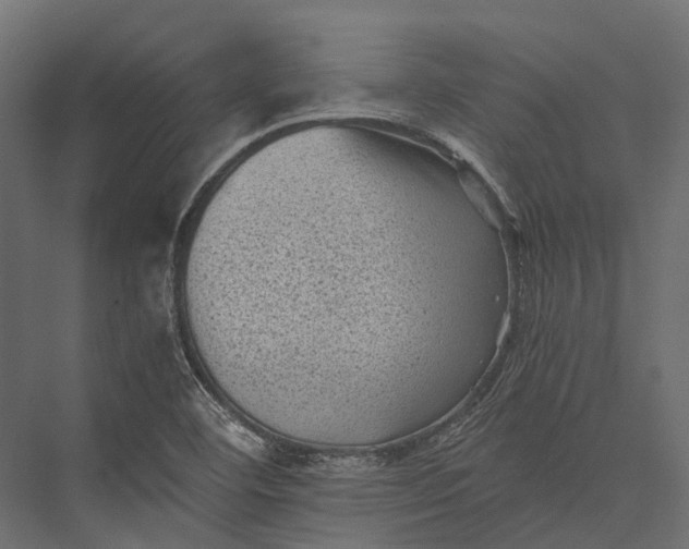 X0000076031460200610061405