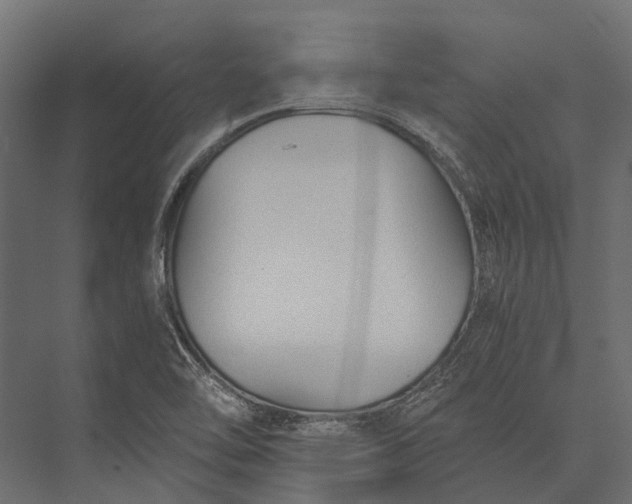 X0000076031462200610061405